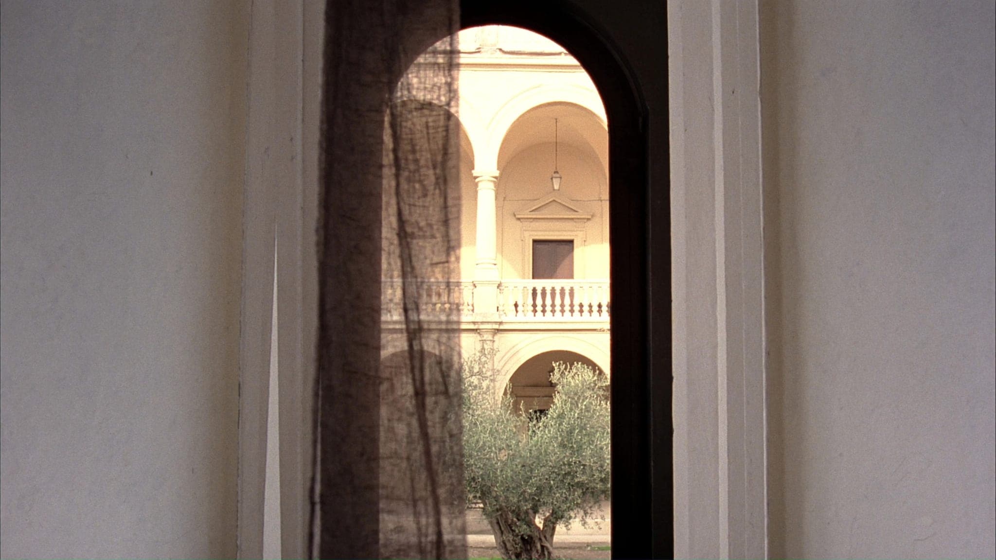 Una portafinestra ad arco, la tenda scostata da un lato: fuori il cortile caldo di un palazzo, il loggiato a colonne su due piani e un olivo sull’erba.